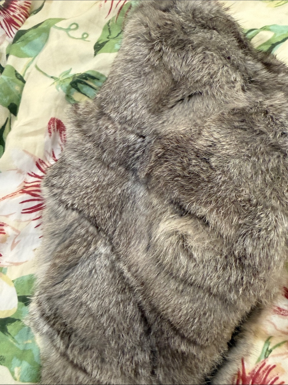 Surell Oversized Rabbit Fur Pull-Through

Gray Rabbit Fur Scarf - Picture 7 of 9
